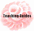 Teaching Guides